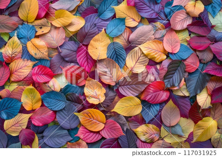 multicolored autumn leaves lying on the floor 117031925