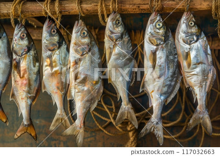 fish drying on rope fish drying on rope 117032663