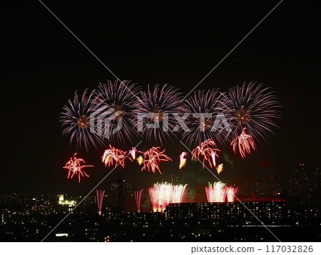 煙花匯演 117032826