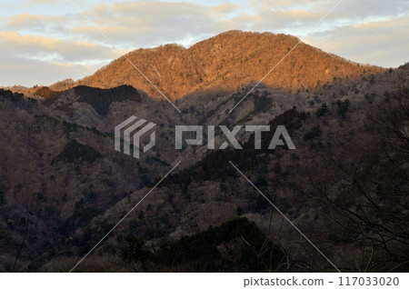 從丹澤檜木洞丸出發,沐浴在朝霞中的雲杉丸山頂 從丹澤檜木洞丸出發,沐浴在朝霞中的雲杉丸山頂 117033020