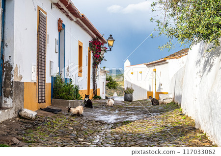 View of the village of Mertola with its white houses and narrow streets. Alentejo Region. Portugal 117033062