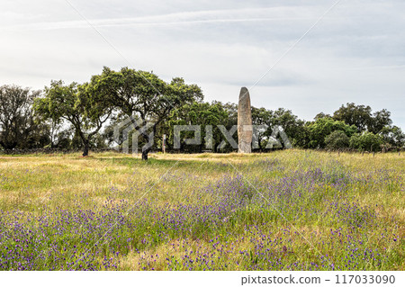 The Standing Stone, Menhir of Meada at Castelo de Vide, Portugal. The largest of the Iberian Peninsula. 117033090