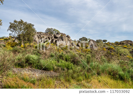 Driving through Parque Natural da Serra de Sao Mamede. Alentejo. Portugal. Cork trees natural resources Landscape. Driving through Parque Natural da Serra de Sao Mamede. Alentejo. Portugal. Cork trees natural resources Landscape. 117033092