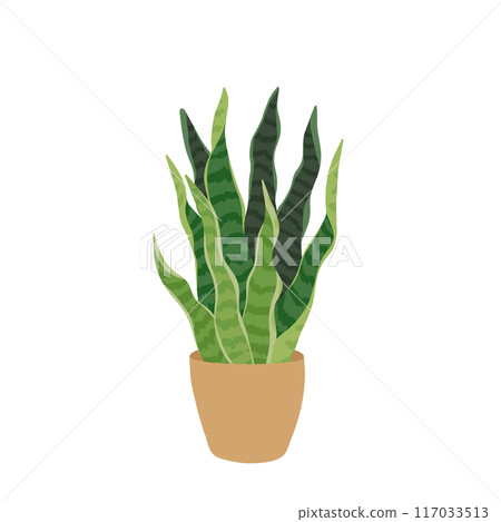 Vector illustration of potted Ficus plant in flat style. Perfect for home decor, eco-friendly designs, and botanical projects. Enhance your interiors with this stylish, vibrant houseplant graphic. Vector illustration of potted Ficus plant in flat style. Perfect for home decor, eco-friendly designs, and botanical projects. Enhance your interiors with this stylish, vibrant houseplant graphic. 117033513