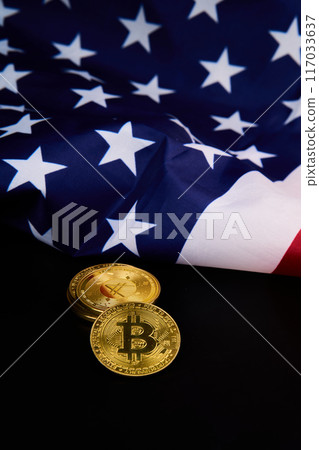 In front of an American flag, two bitcoins are displayed In front of an American flag, two bitcoins are displayed 117033637
