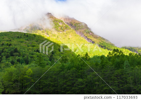 One of Japan's leading mountain resorts: Kamikochi with its fresh greenery and Mt. Yakedake 117033693