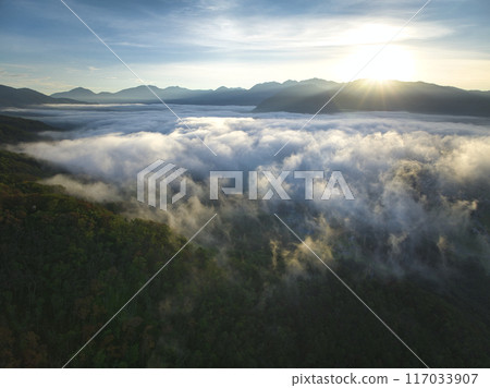 盛夏清晨,長野縣白馬村白馬雲海(無人機空拍) 盛夏清晨,長野縣白馬村白馬雲海(無人機空拍) 117033907