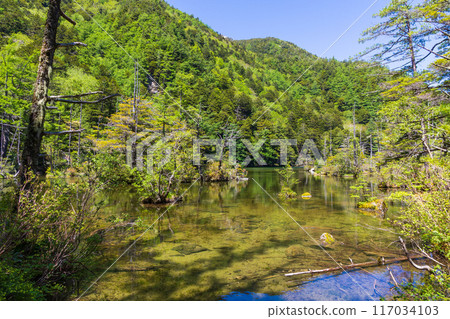 日本最好的山區度假勝地之一，綠樹成蔭的上高地，明神池 117034103
