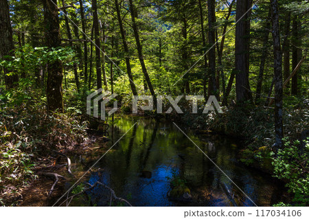 日本最好的山區度假勝地之一，綠樹成蔭的上高地，明神池 117034106
