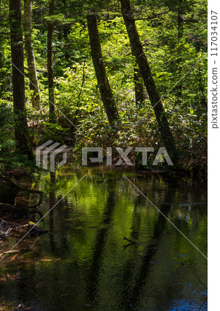 日本最好的山區度假勝地之一,綠樹成蔭的上高地,明神池 日本最好的山區度假勝地之一,綠樹成蔭的上高地,明神池 117034107