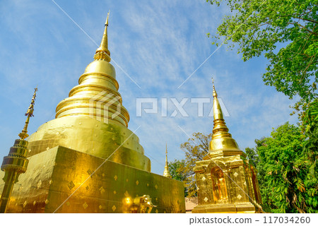泰國清邁帕辛寺美麗的風景 泰國清邁帕辛寺美麗的風景 117034260