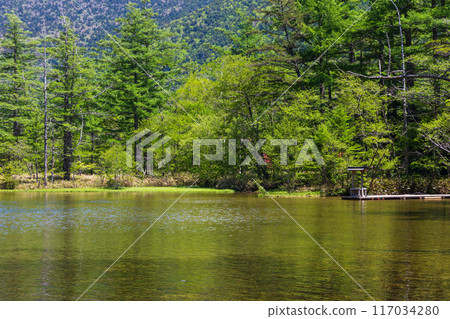 One of Japan's leading mountain resorts: Kamikochi's fresh greenery and Myojin Pond 117034280