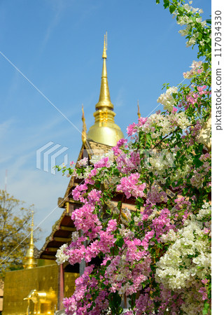 泰國清邁帕辛寺美麗的風景 泰國清邁帕辛寺美麗的風景 117034330
