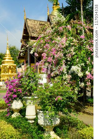 泰國清邁帕辛寺美麗的風景 泰國清邁帕辛寺美麗的風景 117034338
