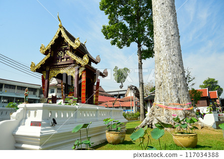 泰國清邁 Wat Chediluang 寺美麗的風景 117034388