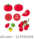 Tomatoes and mini tomatoes 117035204