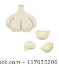 Garlic 117035206