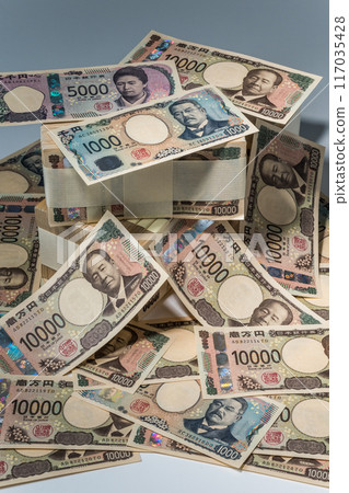 Image of the new banknote 117035428