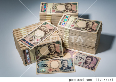 Image of the new banknote 117035431