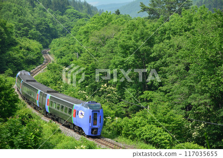 The Kiha 283 series express train "Daisetsu" runs through the Tsunemoni Pass 117035655