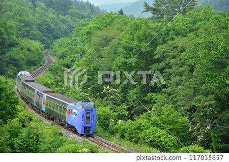 The Kiha 283 series express train "Daisetsu" runs through the Tsunemoni Pass 117035657