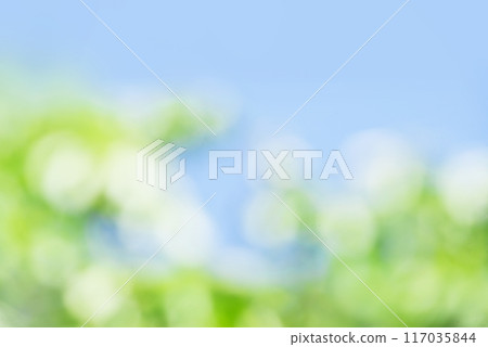 新鮮的綠色和藍色天空副本空間 新鮮的綠色和藍色天空副本空間 117035844