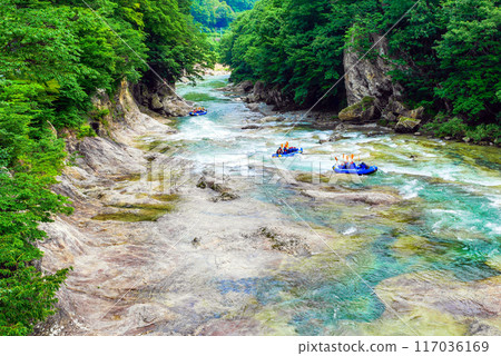 Descending the valley in early summer 1 Descending the valley in early summer 1 117036169