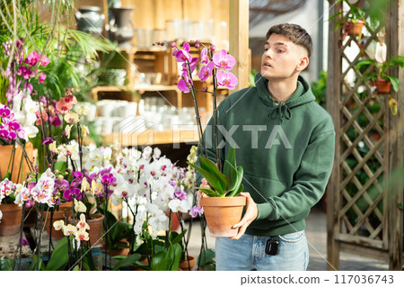 Young guy chooses orchids in flower shop Young guy chooses orchids in flower shop 117036743