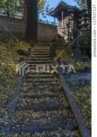 被銀杏葉覆蓋的石階上供奉的稻荷 - 文京區小石川澤倉寺稻荷 117037137