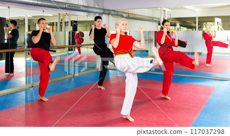 Elderly woman practicing leg kicks during group martial arts workout Elderly woman practicing leg kicks during group martial arts workout 117037298