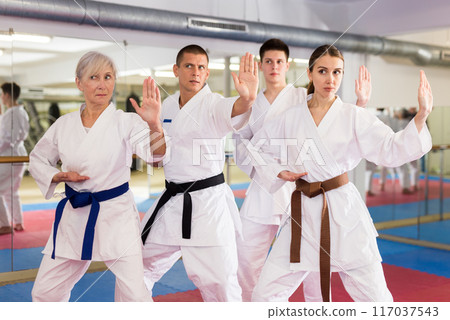 Women and men doing kata during karate training 117037543