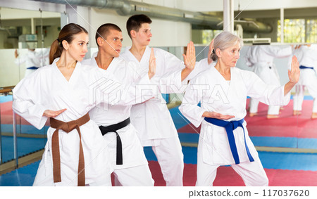 Karate or taekwondo training - athletes in kimono stand in fighting stance 117037620