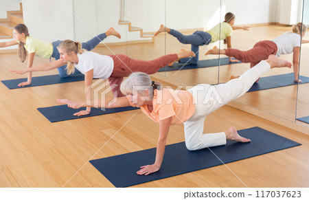 Family of three generations exercising Hatha yoga poses in yoga studio Family of three generations exercising Hatha yoga poses in yoga studio 117037623