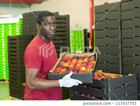 Male warehouse worker loading boxes with peaches 117037781