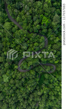 Aerial view asphalt road on green forest, Curve asphalt road on mountain green forest, Countryside road passing green forrest and mountain. 117037883