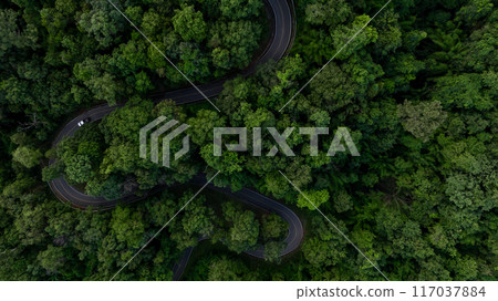 Aerial view asphalt road curve in jungle green forest with truck car winding road through the green forest, Truck car drive on the curve road between green forest, Curve road in woodland outdoor Aerial view asphalt road curve in jungle green forest with truck car winding road through the green forest, Truck car drive on the curve road between green forest, Curve road in woodland outdoor 117037884