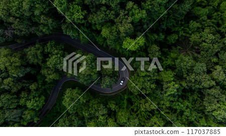 Aerial view asphalt road curve in jungle green forest with truck car winding road through the green forest, Truck car drive on the curve road between green forest, Curve road in woodland outdoor 117037885