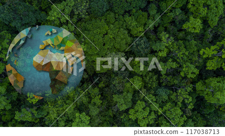 aerial view green forest tree texture and background, Natural green forest tree background, Tropical rainforest tree ecosystem environment, Texture and background of green tree forest. aerial view green forest tree texture and background, Natural green forest tree background, Tropical rainforest tree ecosystem environment, Texture and background of green tree forest. 117038713