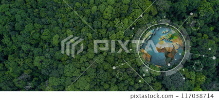 Aerial view texture and background of green tree forest, Lush green tree forest tropical jungle texture and background, Abstract nature green tree forest background. 117038714