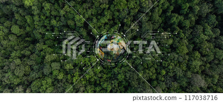 Aerial view green forest tree texture and background with globe earth planet, Natural green forest tree background with globe, Save earth global warming ecosystem and natural environment. 117038716