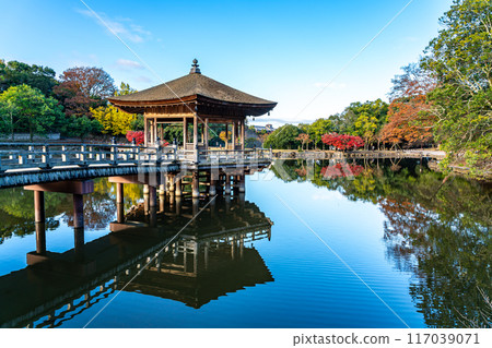 [奈良縣] 奈良公園的浮禦堂，池塘裡的美麗倒影 117039071