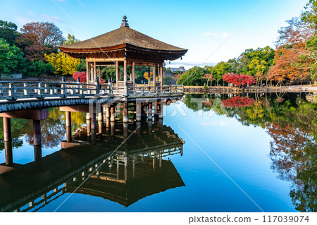 [Nara Prefecture] The Ukimido Hall in Nara Park with its beautiful reflection in the pond 117039074