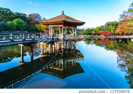 [奈良縣] 奈良公園的浮禦堂，池塘裡的美麗倒影 117039076