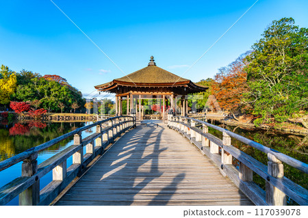 [奈良縣] 晨光照亮的奈良公園浮禦堂 117039078