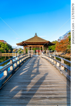 [Nara Prefecture] Ukimido Hall in Nara Park illuminated in the early morning light 117039079