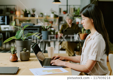 Side view of young Asian woman wearing casual clothes typing code on laptop at workplace in modern eco-friendly office with biophilic design 117039218