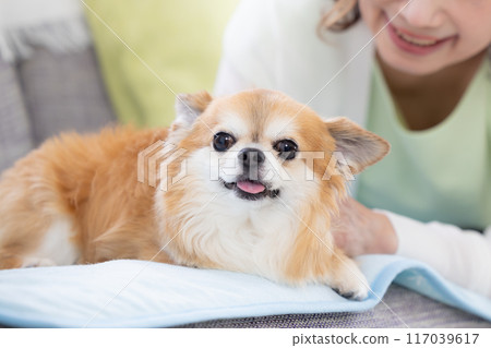 Senior woman relaxing with her pet dog Senior woman relaxing with her pet dog 117039617