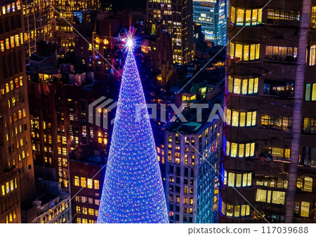 Image of a huge Christmas tree and the city 117039688