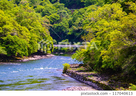 [Kyoto scenery] A quiet moment on the Uji River (from Uji Bridge to Hakuniji Bridge) 117040613