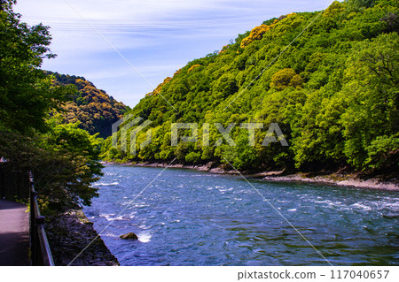 [Kyoto scenery] A quiet moment on the Uji River (from Uji Bridge to Hakuniji Bridge) 117040657